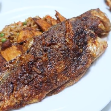 Croaker fish full image